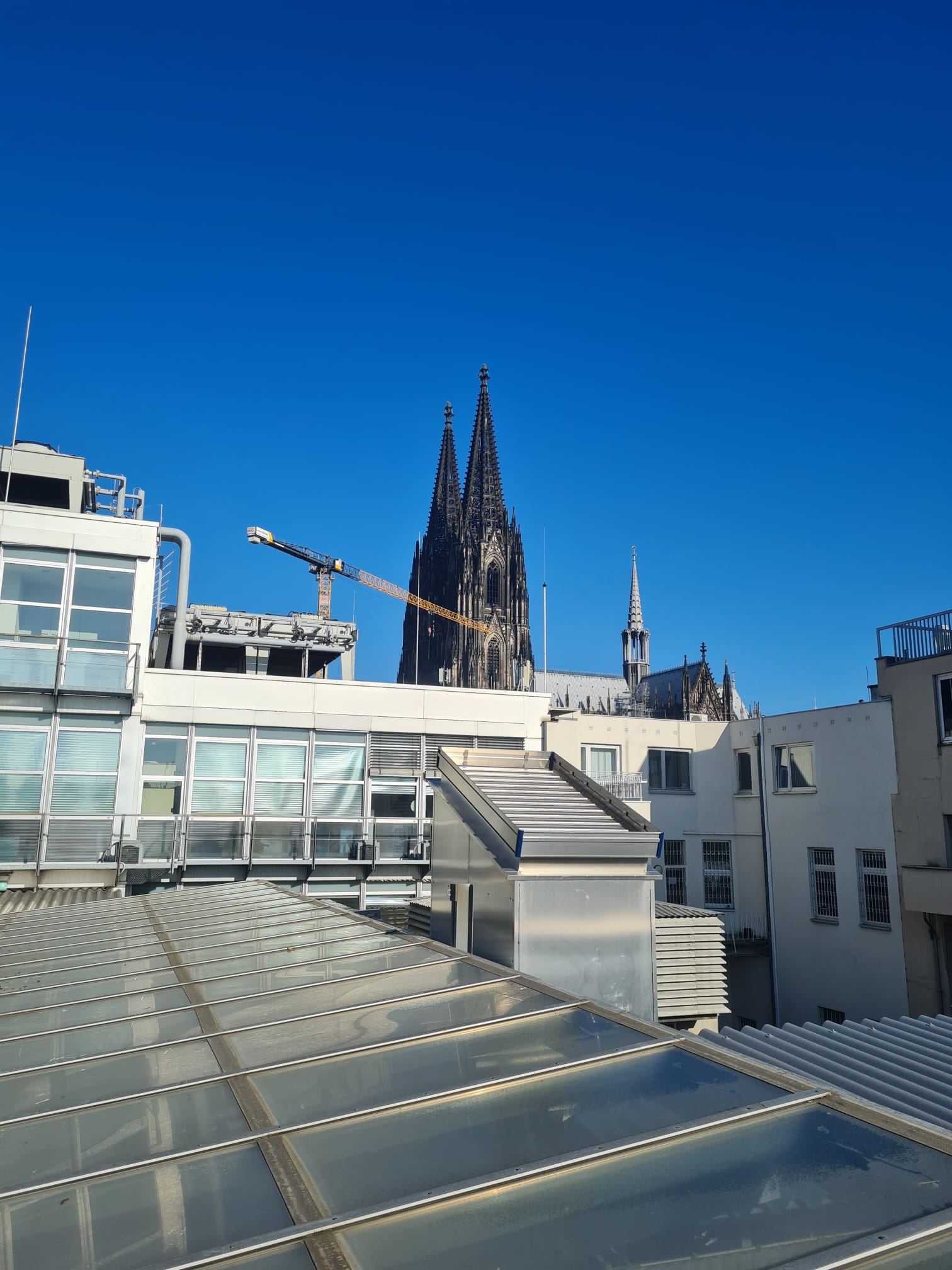 koeln8