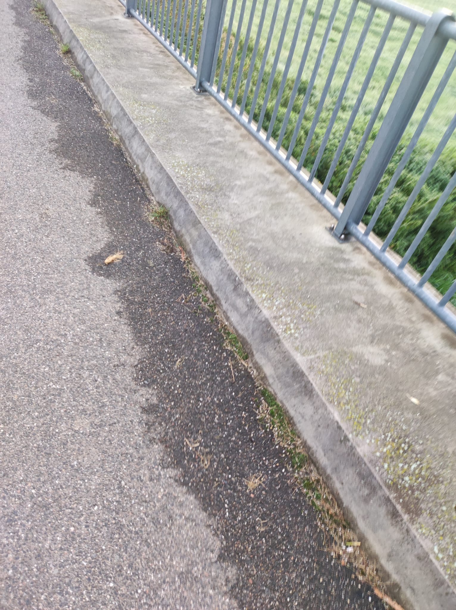IMG-20231017-WA0003