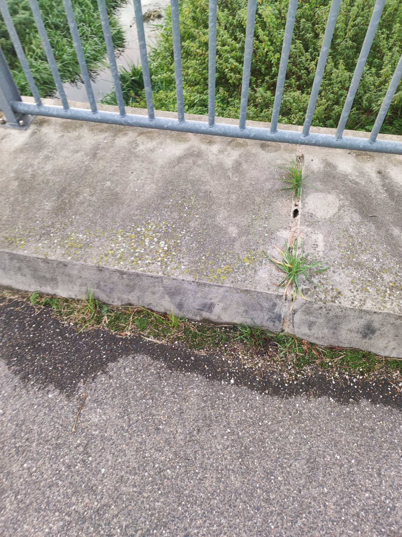 IMG-20231017-WA0004