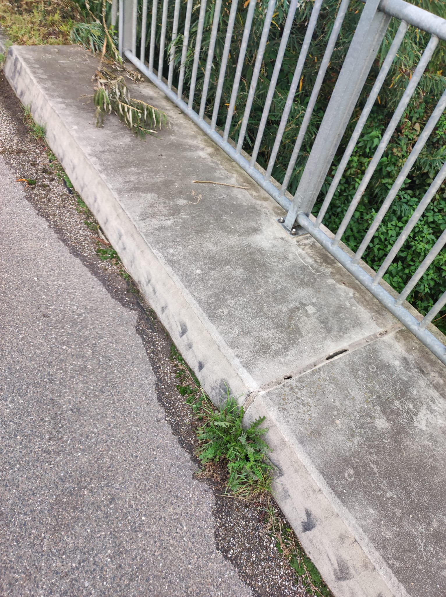 IMG-20231017-WA0005