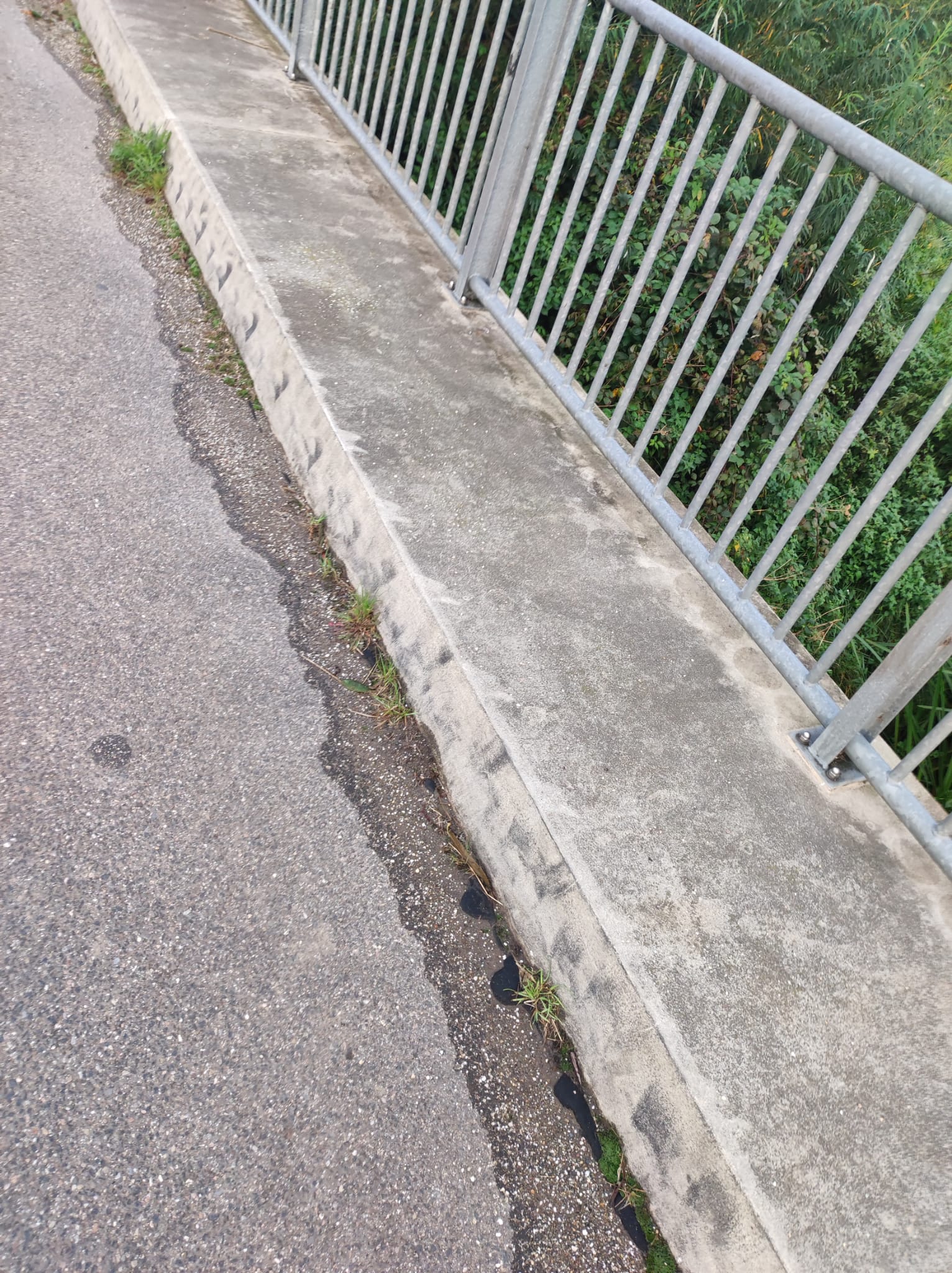 IMG-20231017-WA0006