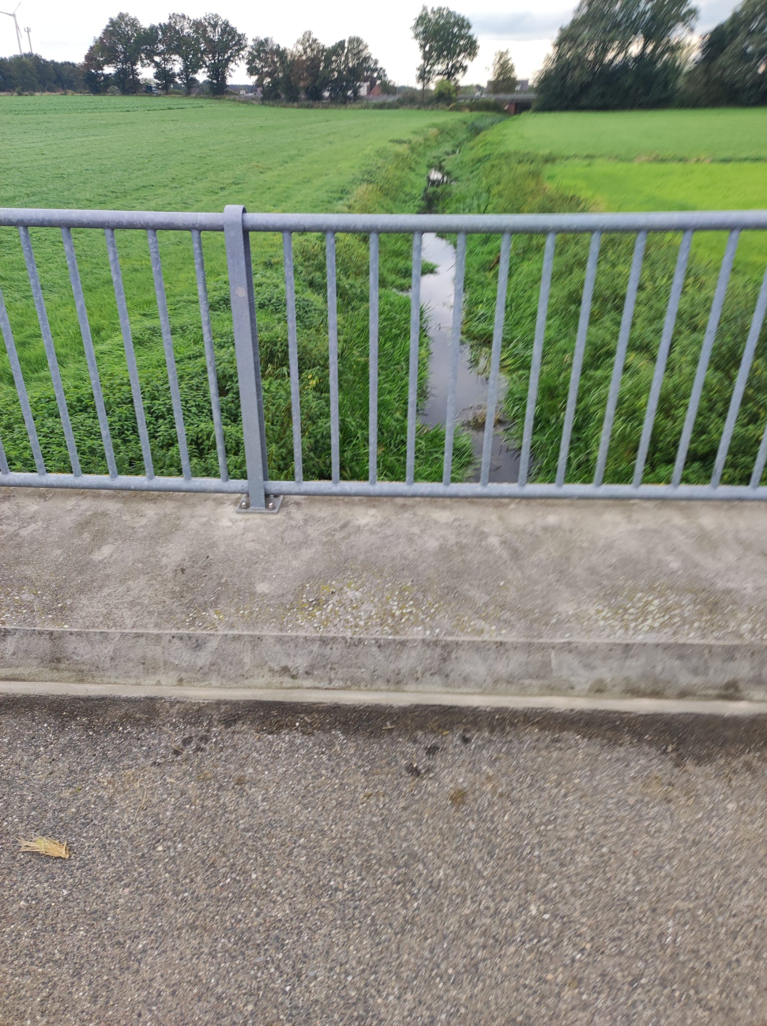 IMG-20231017-WA0008