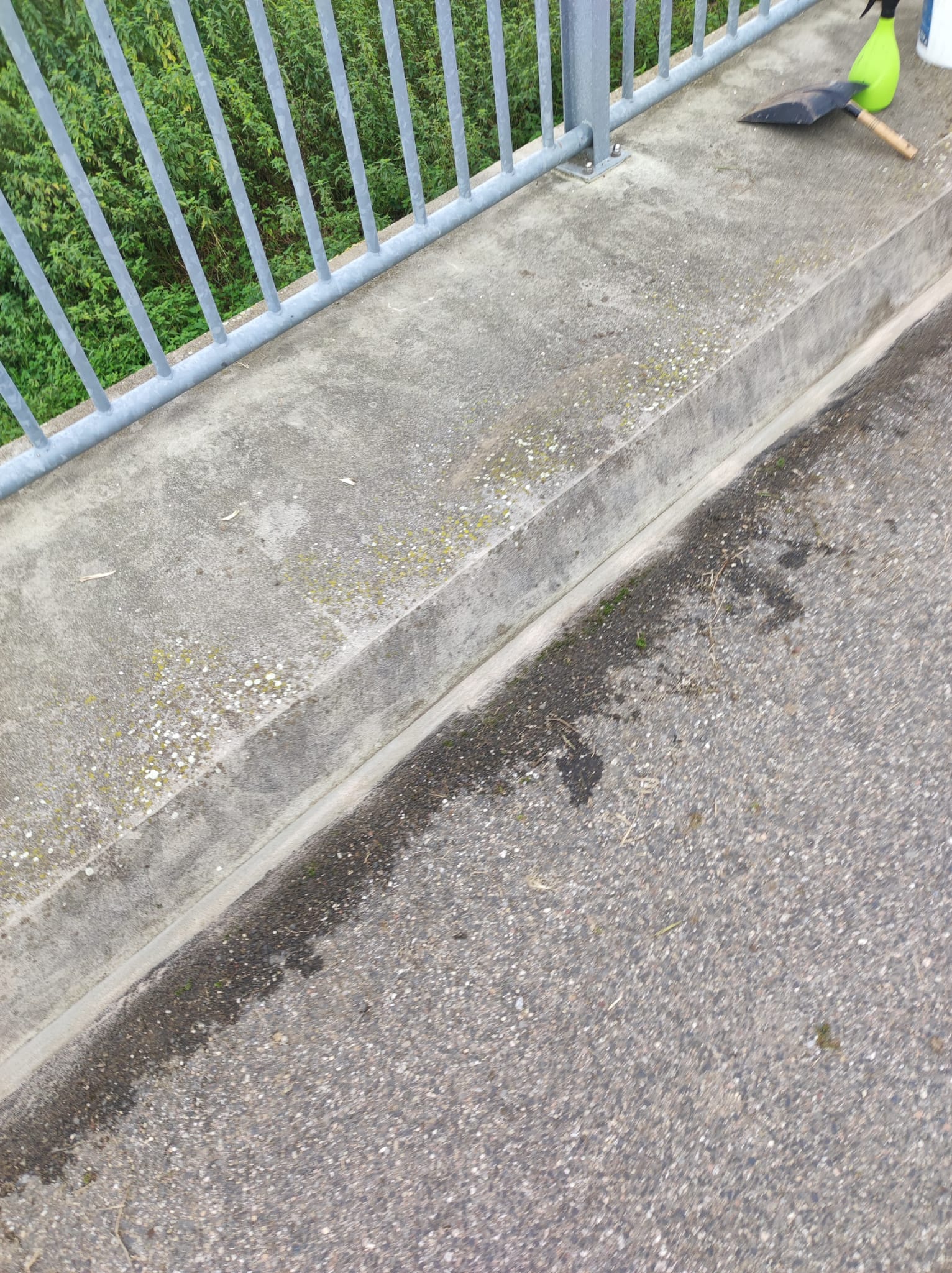 IMG-20231017-WA0011